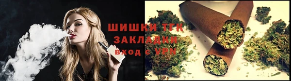 хмурый Арсеньев
