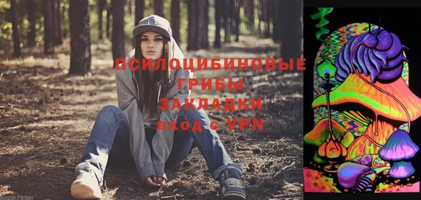 хмурый Арсеньев