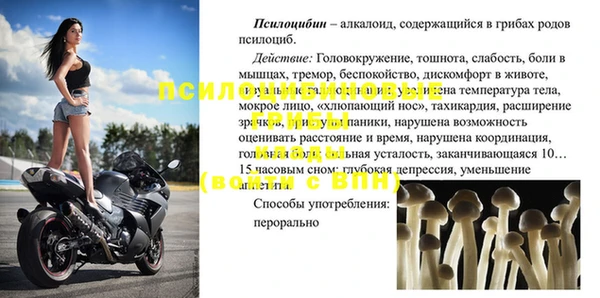 хмурый Арсеньев