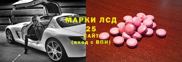 хмурый Арсеньев