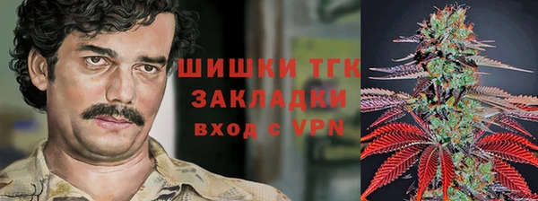 хмурый Арсеньев